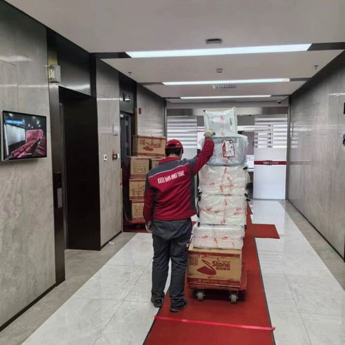 广州搬家公司排名权威测评 资深视角下的家政服务深度洞察